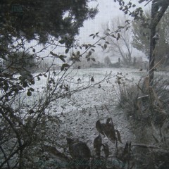the scene in which the villian escapes