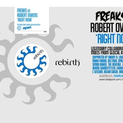 Freaks feat. Robert Owens - Right Now (Rotciv Remix) - Rebirth Records