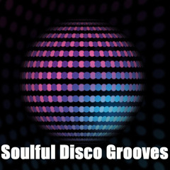 Soulful Disco Grooves Vol 1