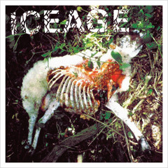 Iceage - Broken Bone
