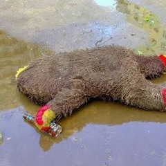 Drunken master