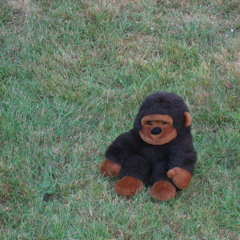 Huge pew barley mcgrew