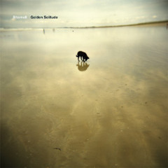 Golden Solitude (Dimlite's Superloner Remix)