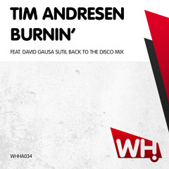 Tim Andresen 'Burnin' feat. David Gausa -Sutil Back To The Disco- Mix [64kbps]