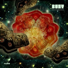 Busy - A Camphoraceous Elixir