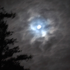 Night