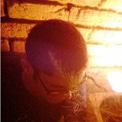 Name the pet - american boys (covox remix)