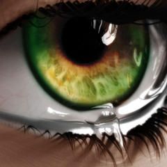 Bed of Roses Avril(192Kbps)