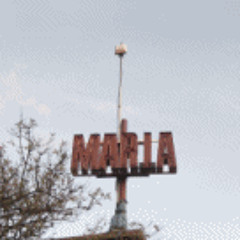 01 - when elephant draw elephant (live version)