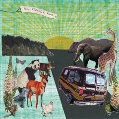 Pete Kilpatrick Band - Coming Home