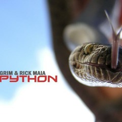 Grim + Rick Maia - Python Wave vs Beasie Boys Alive