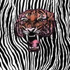 1.Gratitude  - Acoustic Ladyland