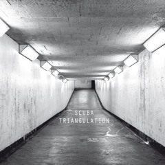 Scuba - You Got Me (from Triangulation)