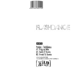 Paskal - Flashdance (Break SL Remix)96 kBit/s