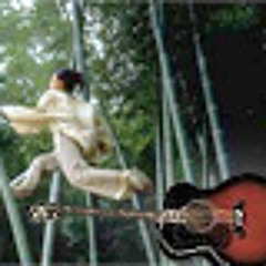 Crouching Tiger Hidden Track