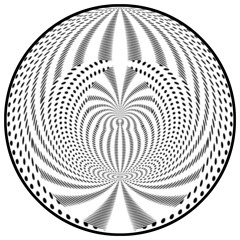 Sua Sponte 02 - Side b - PEDRO - Track 1 - Spiral Carbon