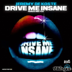 Jeremy De Koste - Drive me insane (Lorenz V remix) - Sample 2 min.