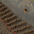 Artwork for Do Make Say Think • "A Tender History In Rust"