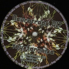 deoxyribonucleic acid - toysfornoise -- vinylrip --- neurotrope records 017