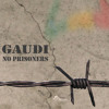 Gaudi & Dub Gabriel - Barracudub (From Gaudis Album, No Prisoners)