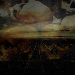 Transient Wasteland