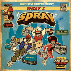 What I Spray (B.O.U.B. Remix)