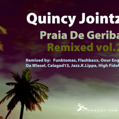 Quincy Jointz - The Place (Flashbaxx Remix)