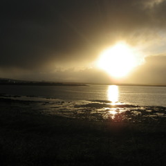 Octal Industries - Untitled