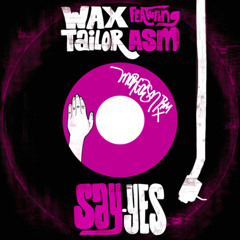 Wax Taylor - Say Yes - Morgasm Rmx