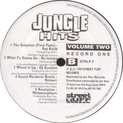 Metamorphosis - Revelation ( Vinyl Fatigue Shoot to Kill Remix )