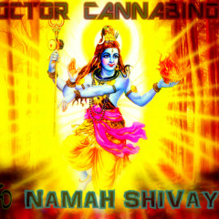 VA - ૐ Namah Shivaya - Mixed By Dj Doctor Cannabinoid - 2010