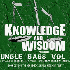 NEVER LIKE THIS / KNOWLEDGE AND WISDOM