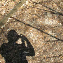 If We Lie About Our Age