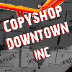 The Beginerz - Reckless Girl (Copyshop 360 Reconstruction)