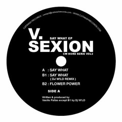 V.Sexion - Flower Power [Catwash]