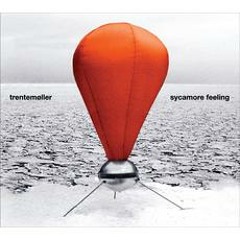 Trentemøller - Sycamore Feeling (Thomas Schumacher Remix)