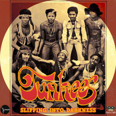 The Funkees-Slipping Into Darkness