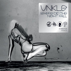 Unkle - another night out (ft. Mark Lanegan)