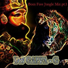 Born Free Jungle Mix pt.1.