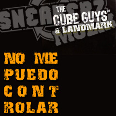 The Cube Guys & Landmark (Jayson Miro & d'Arezzo Remix)