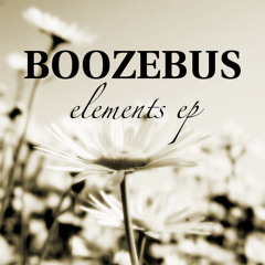 Boozebus - Neckar (Original Mix)