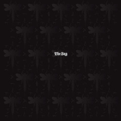 The Bug feat. Flow Dan - Run