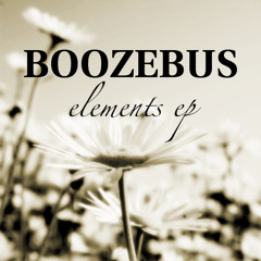 Boozebus - Wasser (Original Mix)