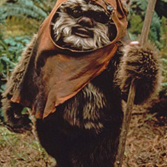 Ewokin
