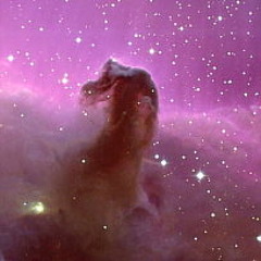 Tribute of Spanic By Dr Squid