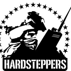 Hardsteppers - "Fistfight" (DJ Sarcastic 2005 remix)