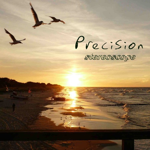 Stereoscope_Precision