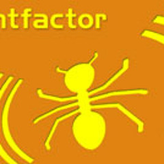 antfactor - Live @ The Eagle, NYC
