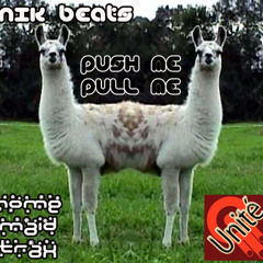Nik beats - push me pull me