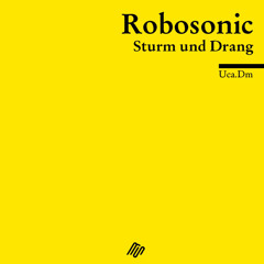 ROBOSONIC  Yasmin (Album Edit)
